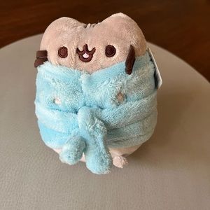 Pusheen Cat in Blue Bathrobe